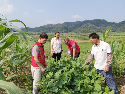 党建引领乡村振兴 | 横州市农业农村局农科干部下沉乡村开展秋季种养生产技术指导
