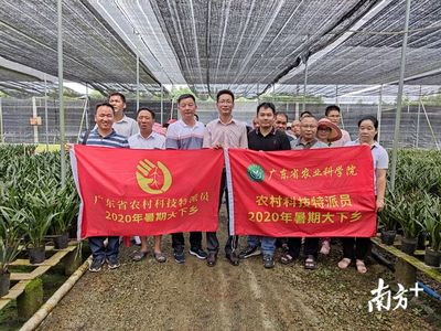 特派员下乡,科技助农传授惠州龙门兰花种植技术