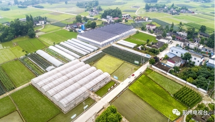 彭州农业又获得国家级创建名单!