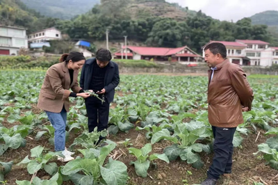 仁怀市农技专家下基层 科技服务助增收