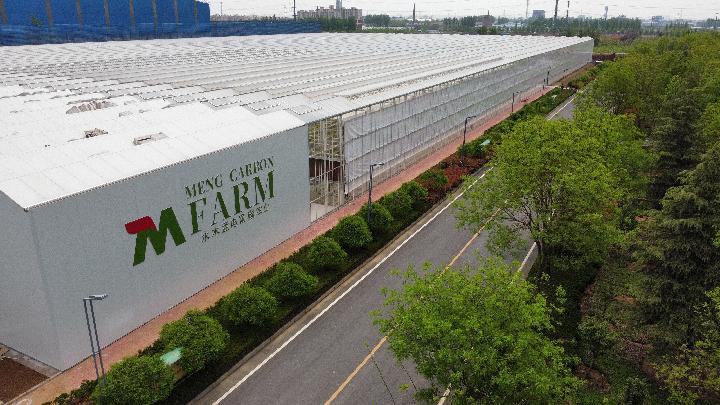 奋进新征程 建功新时代·老区新貌丨太行山革命老区:“红绿交织”绘就太行新画卷