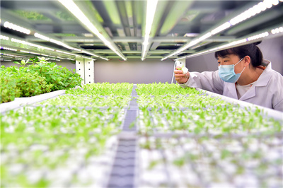 河北石家庄:科技助力智慧农业