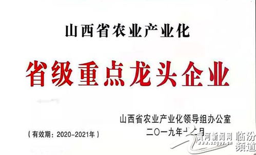 襄汾农特产 蓓鲜农业科技公司 主产杏鲍菇
