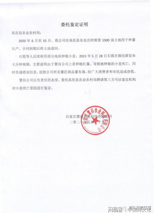 河北1500亩土地种 毒红薯 致小麦绝收 涉事公司 严重不实