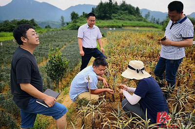 省农科院科技专家服务团深入龙山田间地头助力产业发展