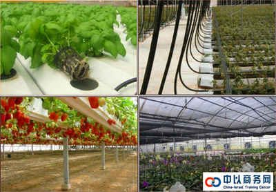 以色列DAGAN(达冈)农业公司