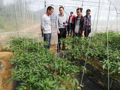 湖北省科学技术协会