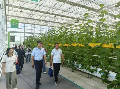 海南农技人员赴山东学习“潍坊模式” 赋能瓜菜提质增收