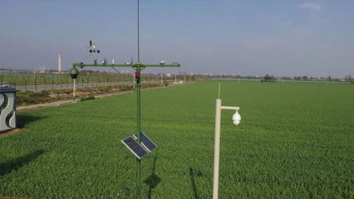 县科技局 强化农业科技服务 为乡村振兴添翼加速