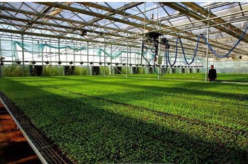 农药双减技术,助力乡村振兴