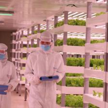 AI人工智能进军农业 中科三安惊艳9.8投洽会