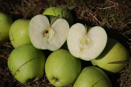 天冷了,周六这里会 很暖 ......