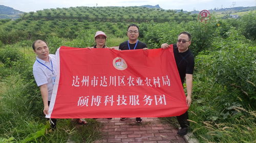 达州市达川区农业农村局 硕博科技服务团 助推乡村产业结硕果