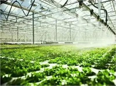 泰州市将用三年构建1700亿农业全产业链