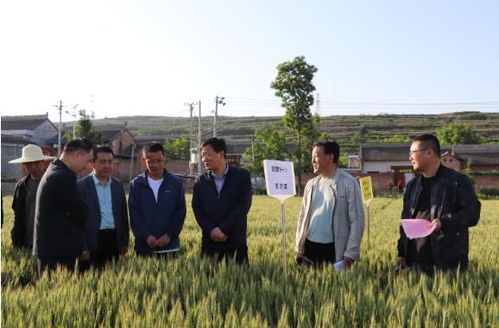 让农业科技之花绽放在陇州大地上