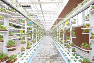 恒大扶贫三周年 现代技术赋能毕节农业产业提档升级