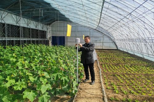 一年之计在于春，农气联手促增收：农业科技服务的创新与展望