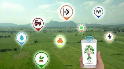 数字赋能乡村振兴 《数字乡村发展行动计划(2022-2025年)》引领农业科技服务新篇章