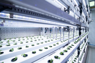 拼多多Q3财报发布 陈磊强调重仓“新质供给”与“电商西进”生态建设，深化农业科技服务