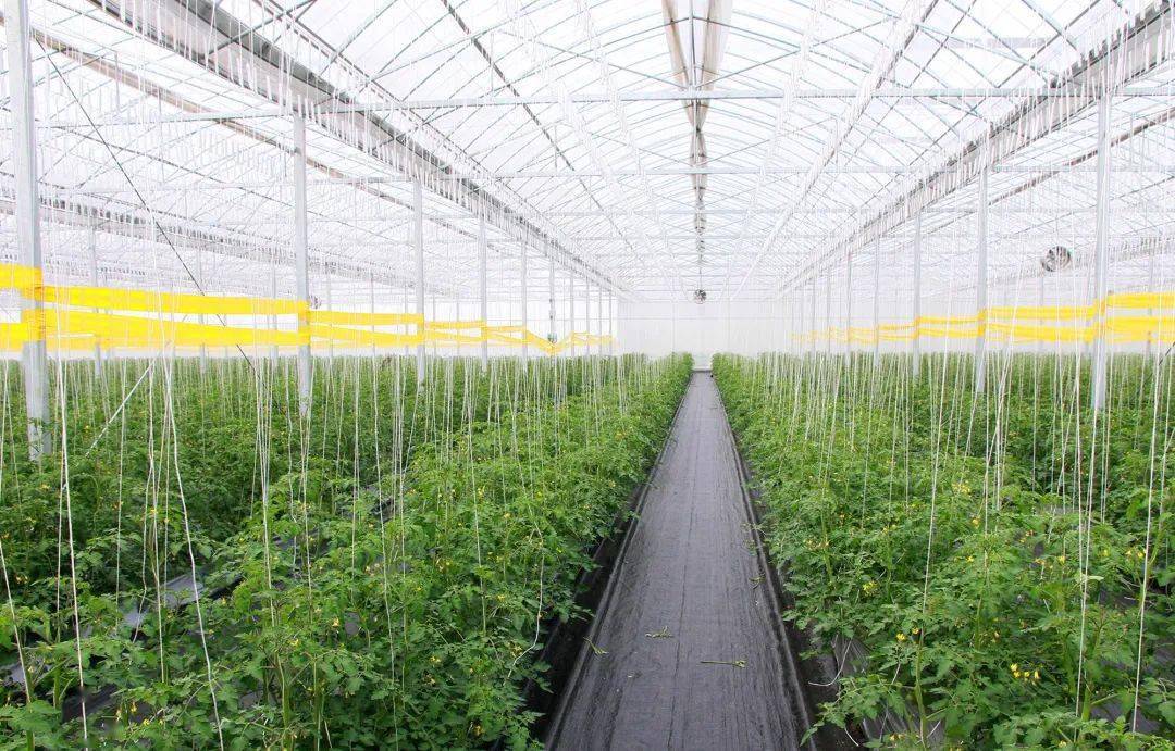 夯实生态底板 打造世界级殷实农场 农业科技服务