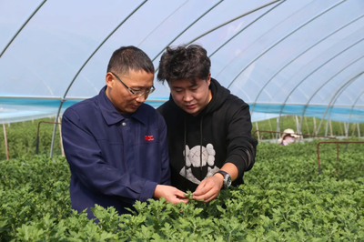 人保财险徐州分公司 以服务三农为本，助推农业保险高质量发展