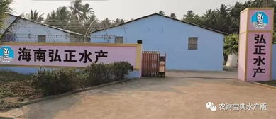 北方一代苗需求激增 行业乱象中的农业科技服务新机遇