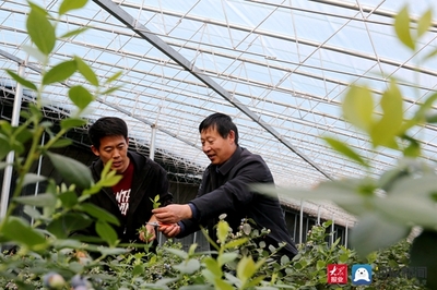 东港区科技局 红色科技特派员成群众致富‘铺路人’