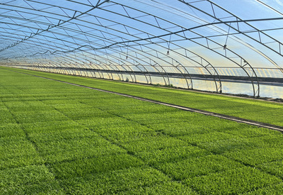 稼穑笃行 北大荒集团黑龙江八五四农场现代农业科技服务中心实习感悟