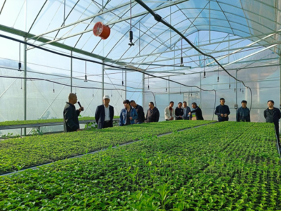 东川区现代农业产业园建成投入运行，赋能农业科技服务新篇章