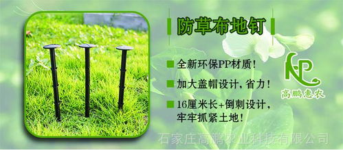 PP单张打孔防草地布 现代农业科技服务的新锐工具