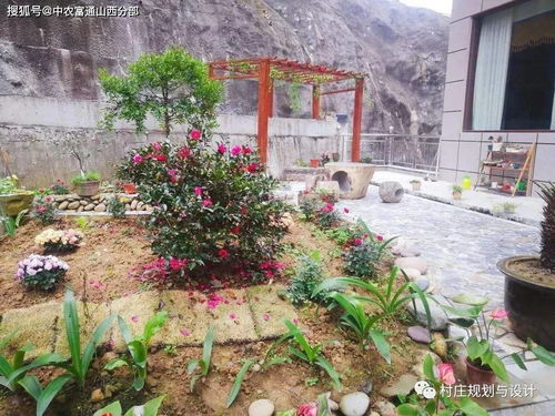 乡土气息与现代科技共融 美丽乡村建设下的美丽庭院与农业科技服务