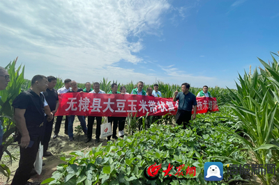 无棣县科技特派员送“技”到田间，助力农业科技服务升级