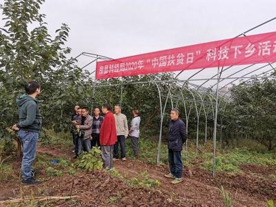 科技赋能乡村振兴——市科技局组织开展科技特派员下乡服务活动