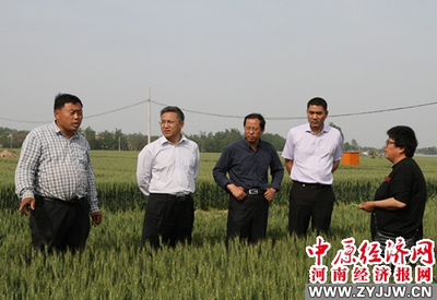 河南农业大学 科技套餐送达田间地头，精准服务助推乡村振兴