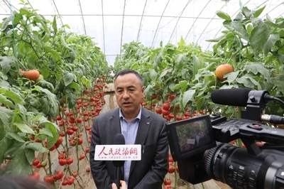 深耕研发 孕育希望——寿光市政协委员刘树森的“种业梦”与农业科技服务