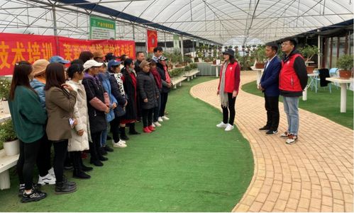 科技赋能 花香四溢 广西农科院花卉研究所的农业科技服务之路