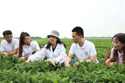 躬耕花生三十载 扎根农田为科研——记河南农业大学教授殷冬梅的农业科技服务之路