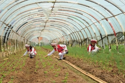 聚焦党代会 | 五华奋力谱写区域性国际中心城市高品质核心区建设崭新篇章