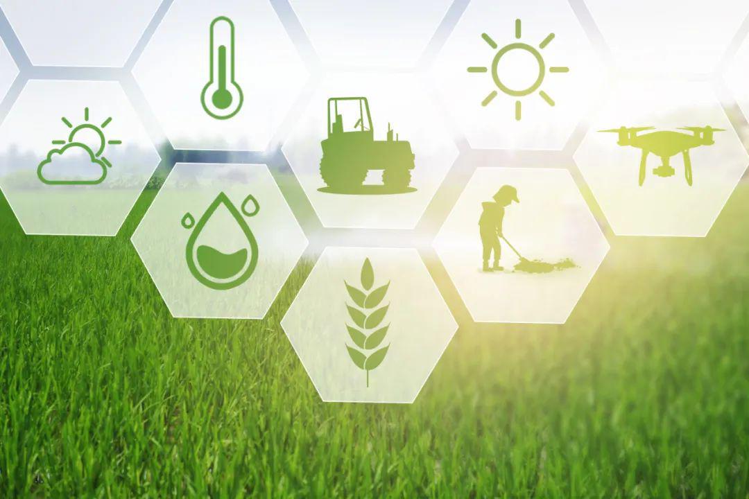 朗新科技为农业插上数字化的翅膀