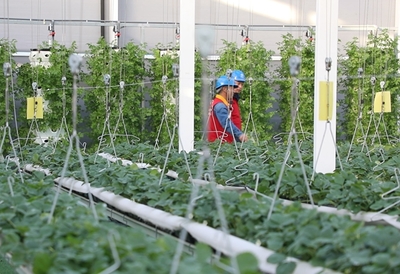 党员服务队员们上门走访。闫蓓供图