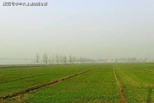 有一种中国美,叫做乡村