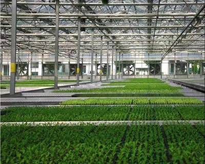 张兵书记调研湘家荡农业数字化工厂，助力农民丰收节农业科技服务