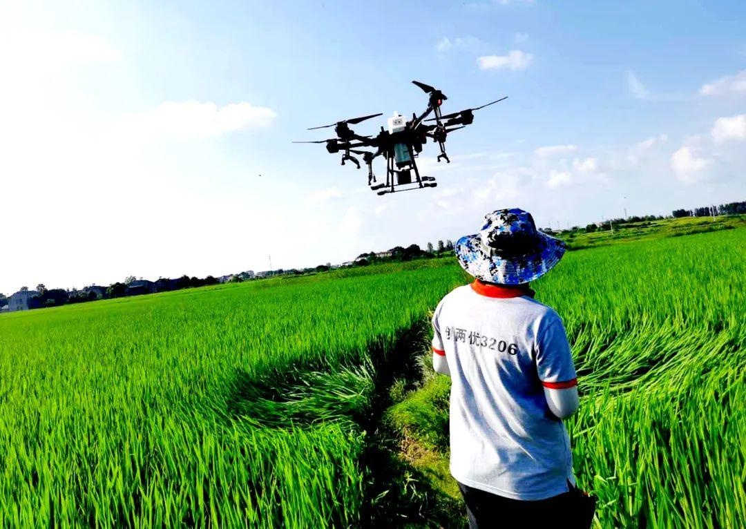 农业科技服务推广的持续性与完整性探讨