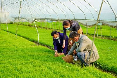 宿松先锋网 农业科技服务助推乡村振兴