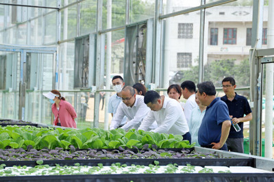 湖南美食流迎市领导调研岳麓区乡村振兴 科技赋能农业服务新篇章