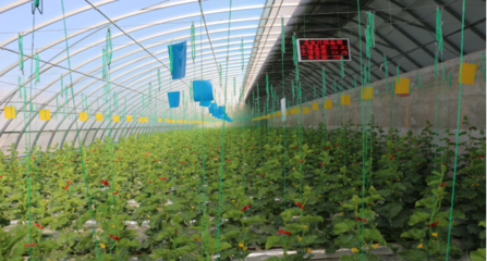 聚焦农业科技服务 助推现代农业发展的关键引擎