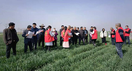 冬小麦“科技壮苗”专项行动 科技赋能稳产增收