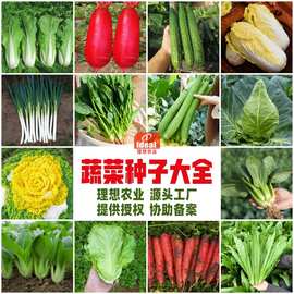 10000克大米背后的农业科技服务 从一粒种子到万家餐桌的智慧之旅