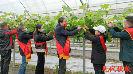 盐城劳模爱心团队 科技助农，护航春耕防疫“两不误”