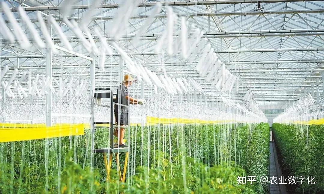 农业科技服务 以创新之力破解现代农业发展难题